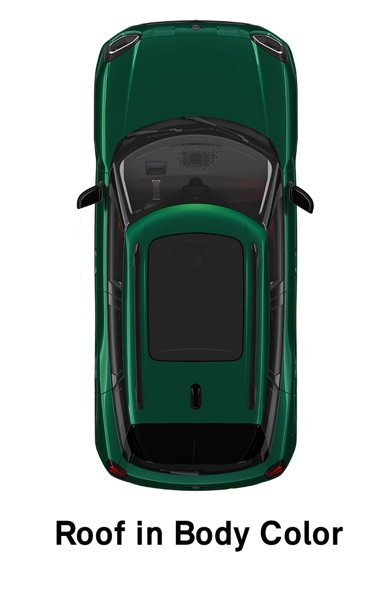  MINI – oprema – raven opreme JCW – streha v barvi karoserije