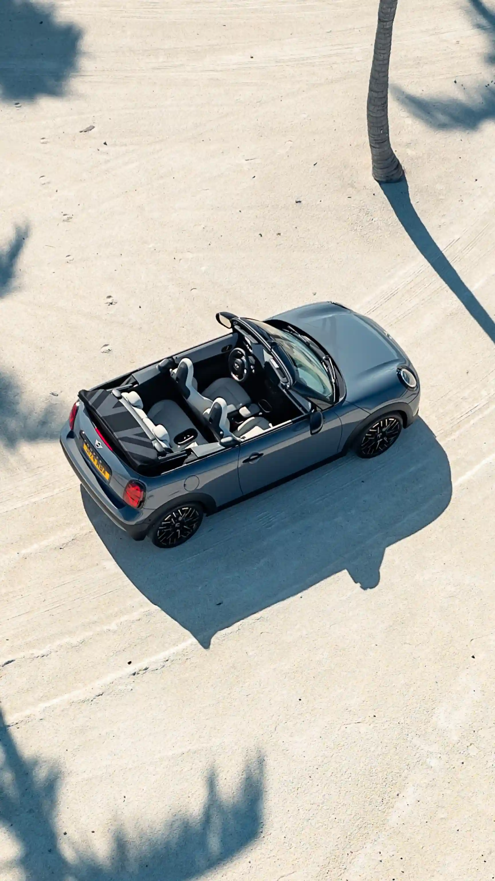 MINI Cooper Cabrio – palme
